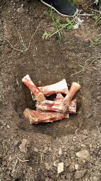 Year of Mastery: Handcrafted Bone & Wood Inlaid Tea Table | Traditional Craft Documentary