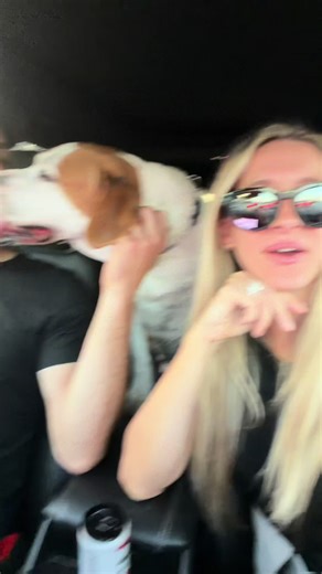 Kilo the Rescue Dog Needs a Forever Home