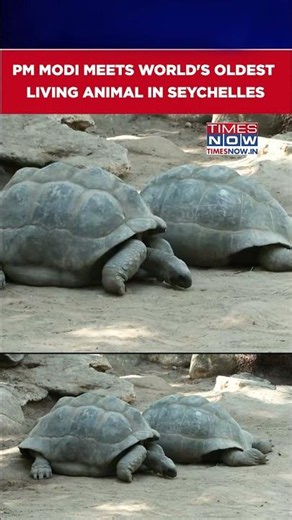 PM Modi Meets World's Oldest Living Animal During Seychelles State Visit #shorts