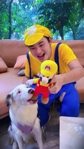 The Revenge of Dolls#short #Mario #SuperMario