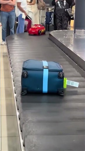 Nailed This Perfectly