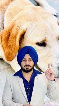 From Road to Hope | A Girl’s Effort for Labrador Dog Adoption