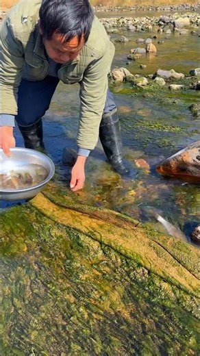 A Day In The Life Of A Fish Collector 🐟🧺