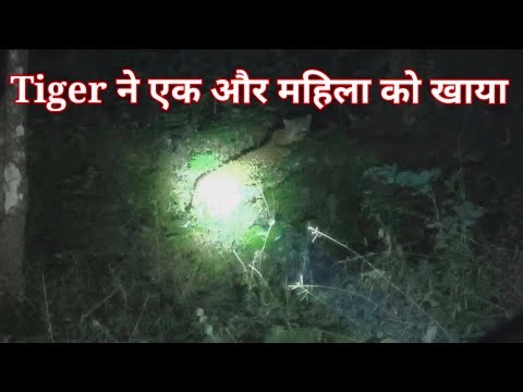 Tiger Kills Woman | Jim Corbett National Park | Tiger Attack | Animals | Audiobook | Documentary