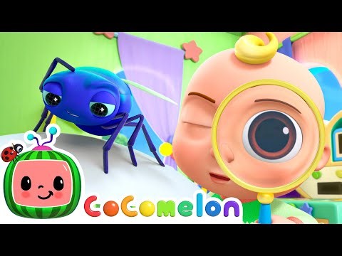 Bye, Fly🪰 | CoComelon - Animal Time | Kids Cartoons & Nursery Rhymes | Moonbug Kids