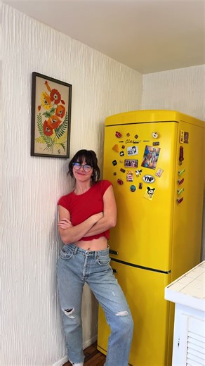Stunning 1970s Retro Home Fridge Reveal