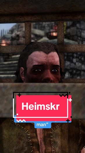 Exploring Heimskr in Skyrim: A Unique Character Analysis