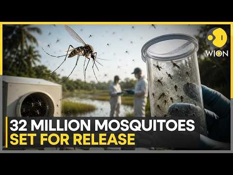 Google's Plans To Release 32 Million Mosquito Army | WION