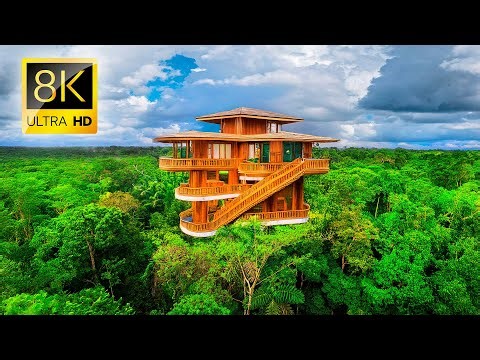 Most Beautiful JUNGLES in the World Film 8K VIDEO ULTRA HD - 4K TV Dolby Vision