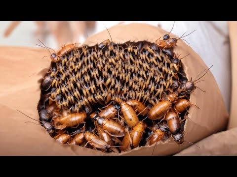 ASMR Relaxing & Satisfying Video for Deep Sleep & Mental Massage