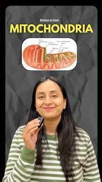 Mitochondria: Structure & Functions #shorts #ytshorts #youtubevideo #study #neet #class11 #exam #yt