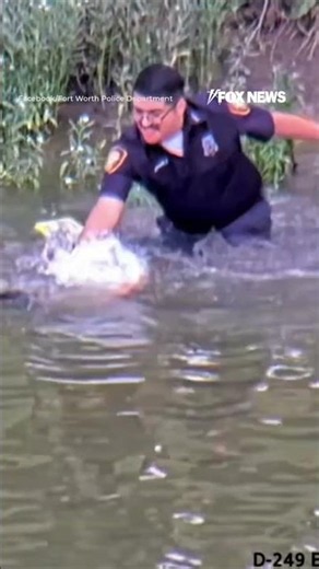 Fort Worth police RESCUE missing child from river #shorts #us #news #foxnews