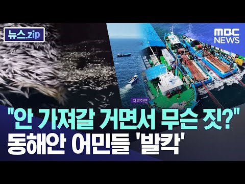 "안 가져갈 거면서 무슨 짓?" 동해안 어민들 '발칵' [뉴스.zip/MBC뉴스]