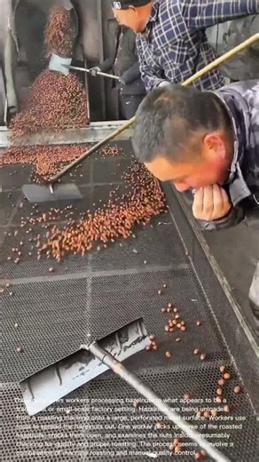 Roasting and Quality Checking Hazelnuts: Traditional Nut Processing