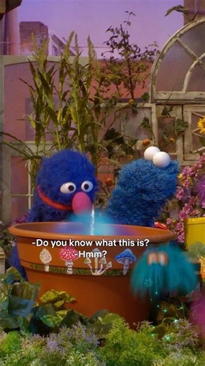 Zippity zap! It's a bunny unicorn! 🦄✨ Sesame Street