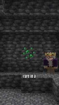 The most expensive Minecraft build...