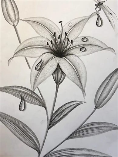 How to Draw Realistic Flowers with a Pencil