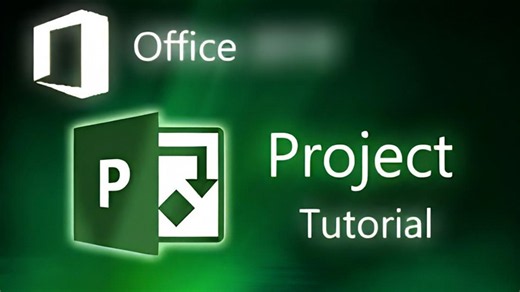 Beginner’s Roadmap to Microsoft Project Professional