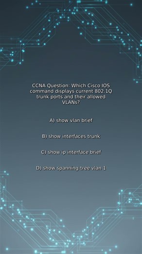 CCNA Quiz: Which Cisco IOS command displays current 802.1Q trunk ports and their allowed VLANs?