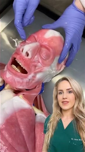 Doctor reacts: artificial human?