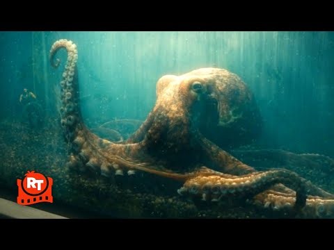 The Boys - WTF?! Deep KILLS His Octopus?! (S4E7) | Movieclips