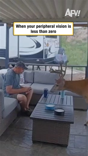 He nearly had to tap him on the shoulder 🤣 #afv #funny | America's Funniest Home Videos