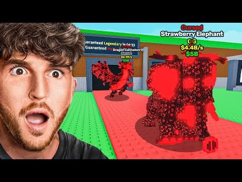 TACO TUESDAY ADMIN ABUSE!