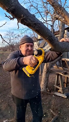 Proper Pruning of Garden Trees #diyprojects #woodworking #chainsaw #garden #gardening #gardeningtips