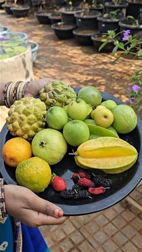 Fruits harvesting in my garden #fruits #mygarden #organicfarming #gardening #shorts #viralvideo