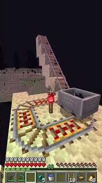 Como salvé a mi gato en el END de Minecraft... 😱💖