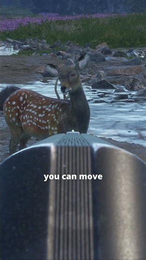 SLUG vs BUCKSHOT 🦌🔫 | theHunter: Call of the Wild