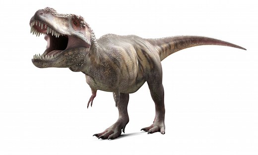 Which 10 Dinosaurs Rank as the World's Favorite, and Why?