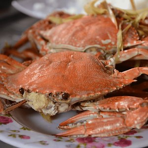 Crab Showdown: Snow vs. King vs. Dungeness - All The Differences