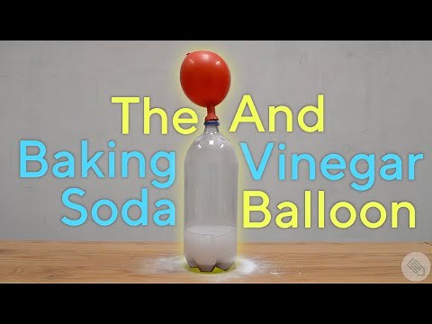 Baking Soda + Vinegar Balloon Experiment!