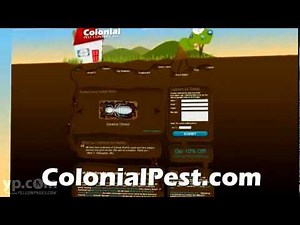 Termite Exterminators | Boston MA | Colonial Pest Control