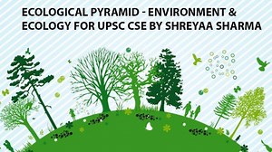 Ecological Pyramids - Environment & Ecology for UPSC CSE: In this lesson Shreyaa explains the various types of the ecological pyramids. An ecological pyramid (also trophic pyramid, energy pyramid, or sometimes food pyramid) is a graphical representation designed to show the biomass or bio productivity at each trophic level in a given ecosystem. Biomass is the amount of living or organic matter present in an organism. Must watch for all aspirants to revise the environment and ecology section of t