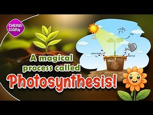 Photosynthesis Explained: Animated Video for Kids and Students