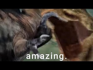 Goji Center Created The Best Dinosaur Fight Ever