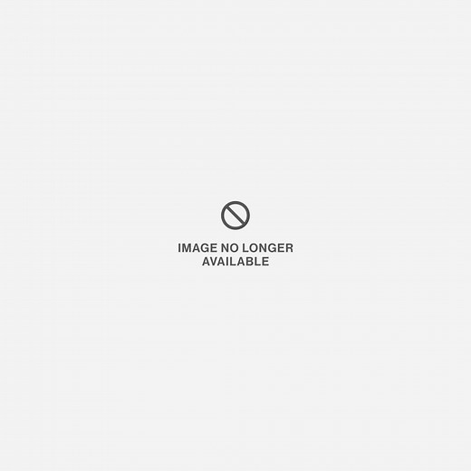 Animal Facts for Kids: True or False?