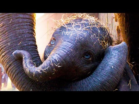 DUMBO "Baby Elephant" Clip