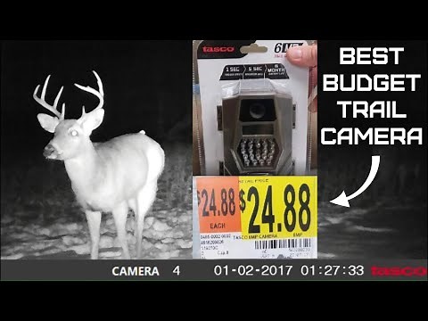 Tasco Trail Camera Review and Setup - 8mp Tasco Trail camera