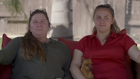 ALL ABOUT MINIATURE PINSCHER - SMALL AND BOSSY