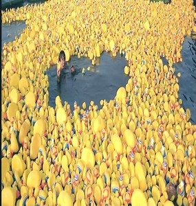 92K views · 543 reactions | BEST ACTION MOVIE 2021 - NEW MOVIE 2021 | CV Film Action | Facebook