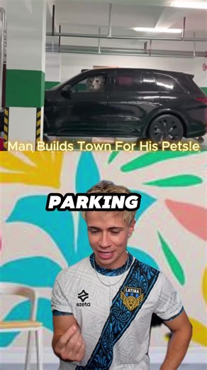 Cat Town: The Ultimate Pet Paradise Built with Love