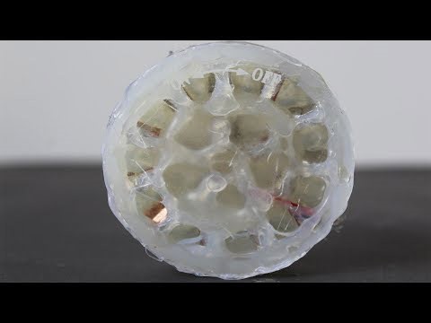How to Make a Saltwater Battery - Emergency Energy