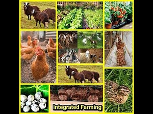 Integrated Farming System