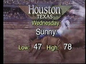 Weather Channel Business Travel Forecast - 1995