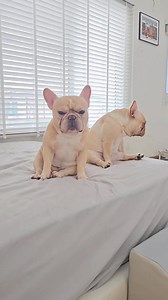 22K views · 2.4K reactions | ง้อแล้วนะ  | The Monster House | Facebook