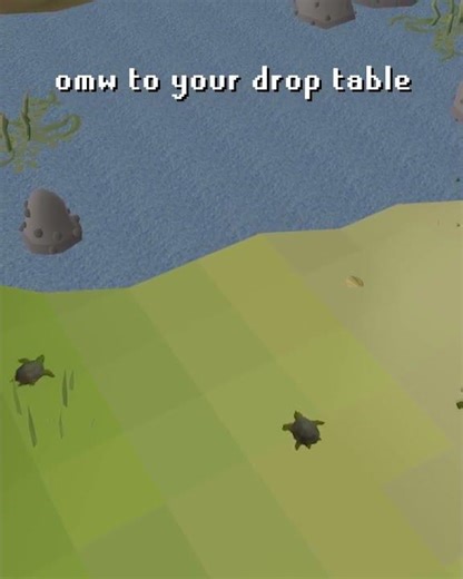 a turtle made it to the water 🐢 #likeandsubscribe #viral @OldSchoolRuneScape