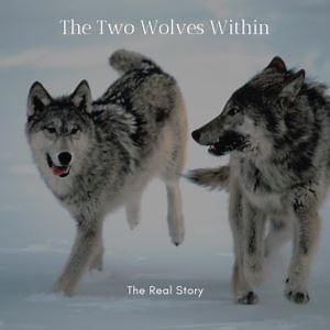 The Real Story of the Two Wolves – A Life Lesson Uncovered